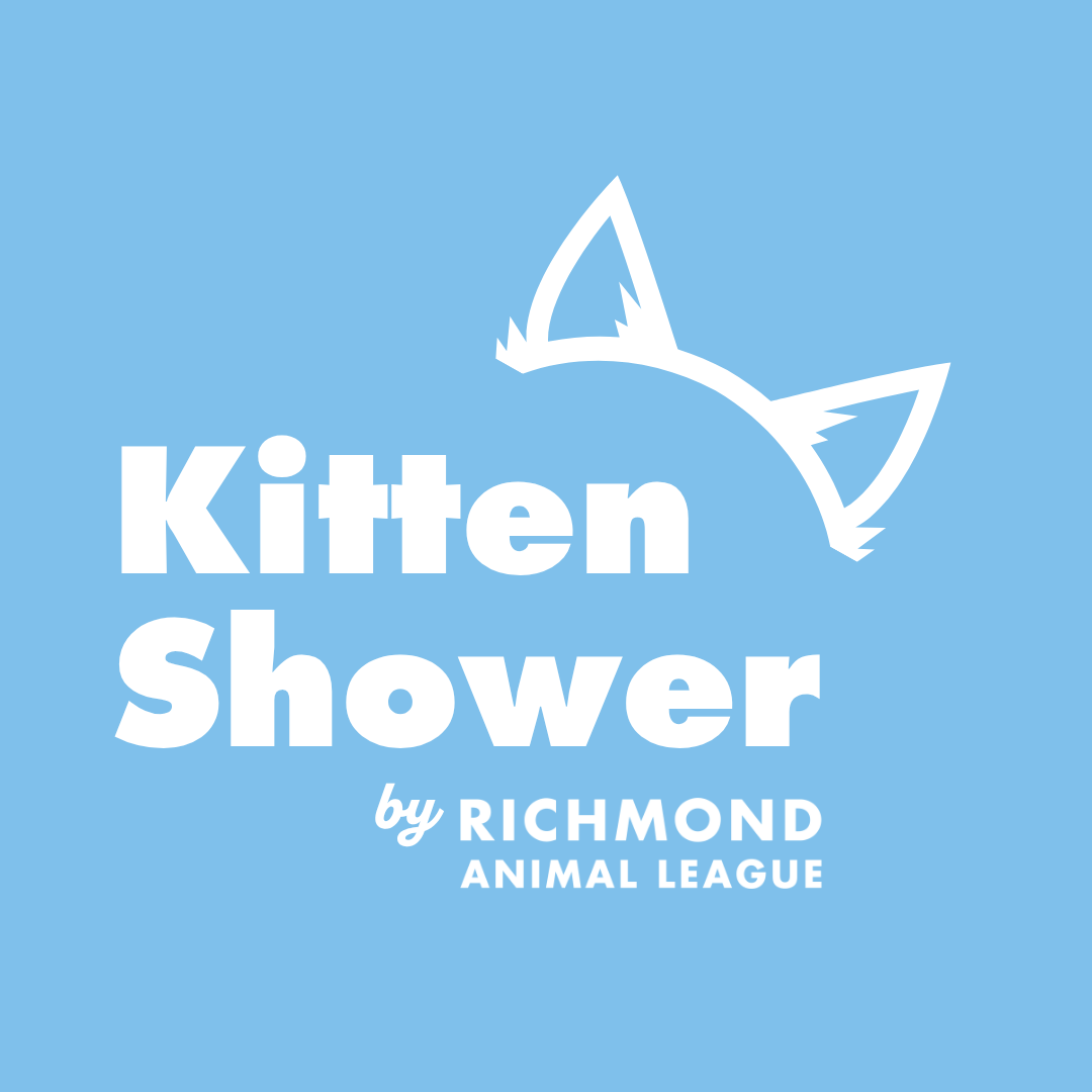 Kitten Shower 2026 - logo